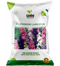 Grow Delight Imported Delphinium Larkspur 100 Seeds Grow Delight Imported Delphinium Larkspur 100 Seeds